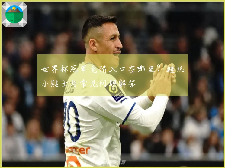 世界杯冠军竞猜入口在哪里？避坑小贴士与常见问题解答